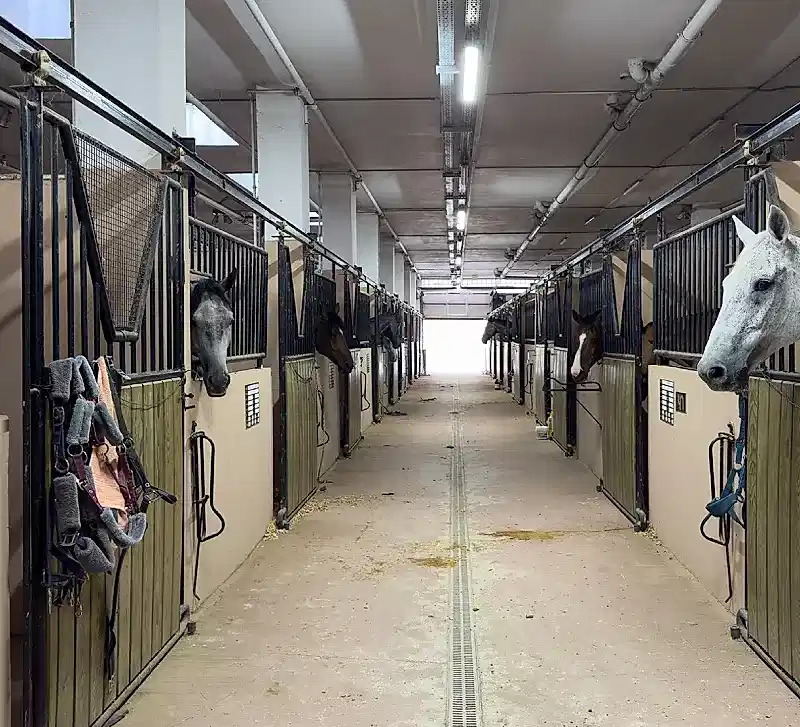 LiderClub Galeri - 16