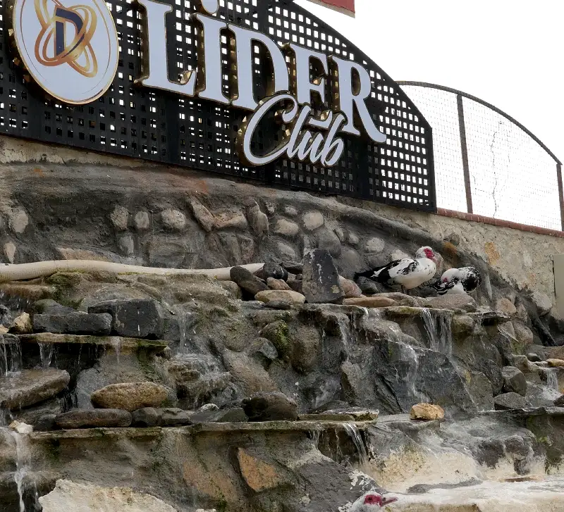 LiderClub Galeri - 17